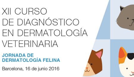 XII Curso de diagnóstico en dermatología veterinaria