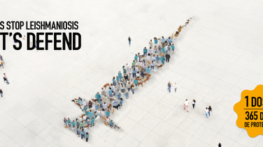Lanzamos campaña de prevención 2025: LET’S STOP LEISHMANIOSIS; un movimiento social