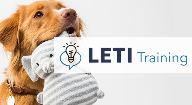 LETI Training banner