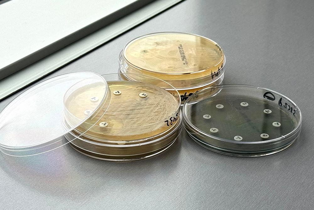 Incorporamos la clasificación AMEG - EMA en los antibiogramas de LETILAB: Aprende a cómo interpretar las categorías