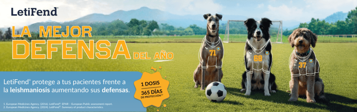 Header - Campaña Leishmaniosis 2026 - ES - Desktop