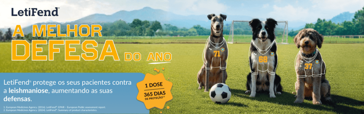 Header - Campaña Leishmaniosis 2026 - PT - Desktop