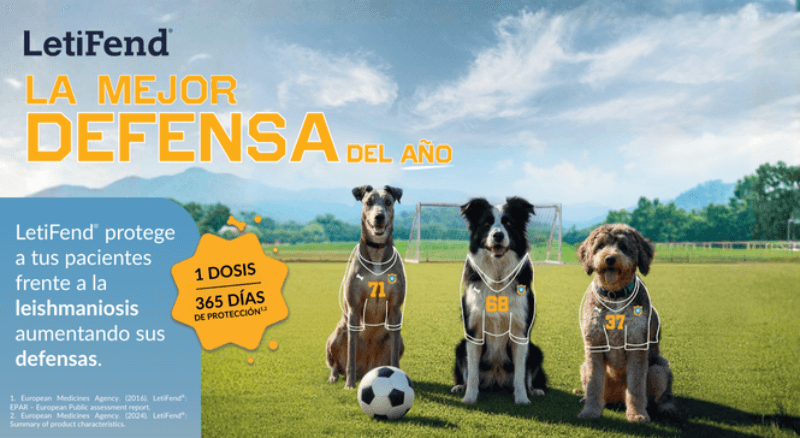 Header - Campaña Leishmaniosis 2026 - ES - Mobile