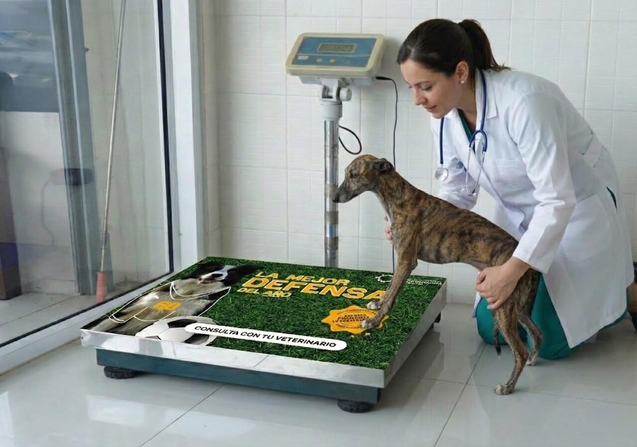 Campaña Leishmaniosis 2026 - Recursos 3