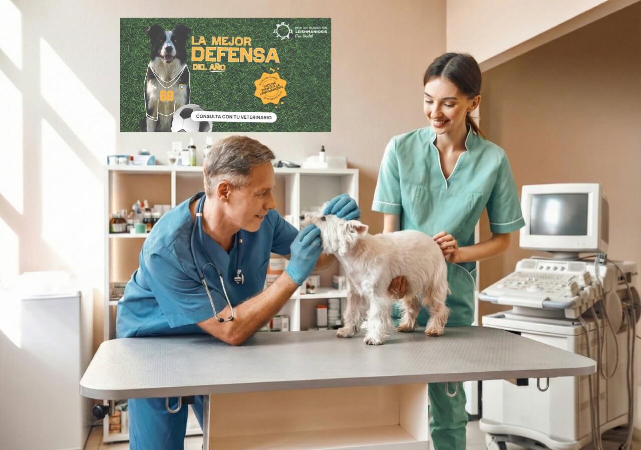 Campaña Leishmaniosis 2026 - Recursos 6