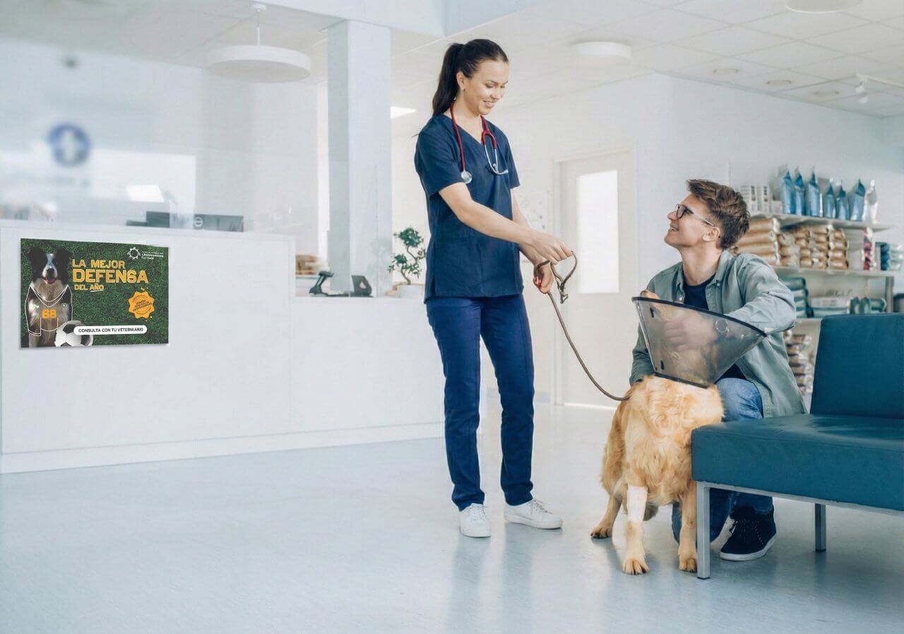 Campaña Leishmaniosis 2026 - Recursos 7