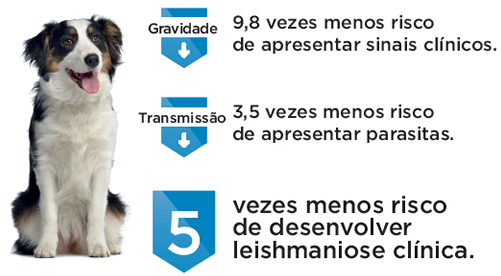 Letifend® vacina contra a leishmaniose canina