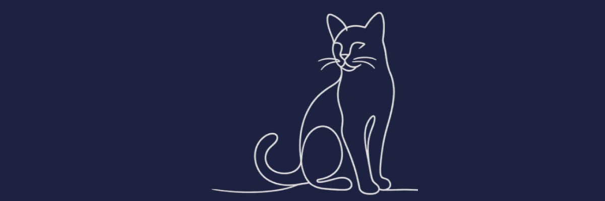 gato