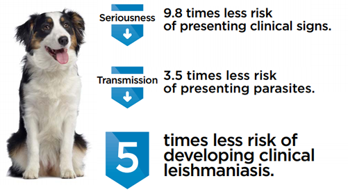 LetiFend®: vaccine against canine leishmaniasis | Animal Health | LETI  Pharma
