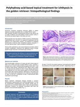 Polyhydroxy acid-based topical treatment for ichthyosis in the golden retriever: histopathological findings